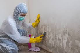 Mold Remediation for Rental Properties in Pahoa, HI